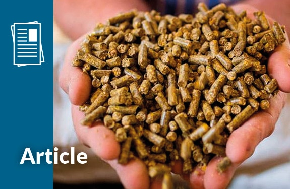 feed tech service