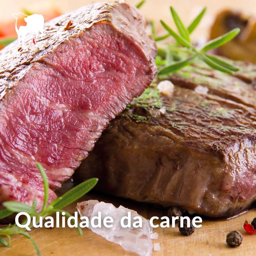 qualidade-da-carne