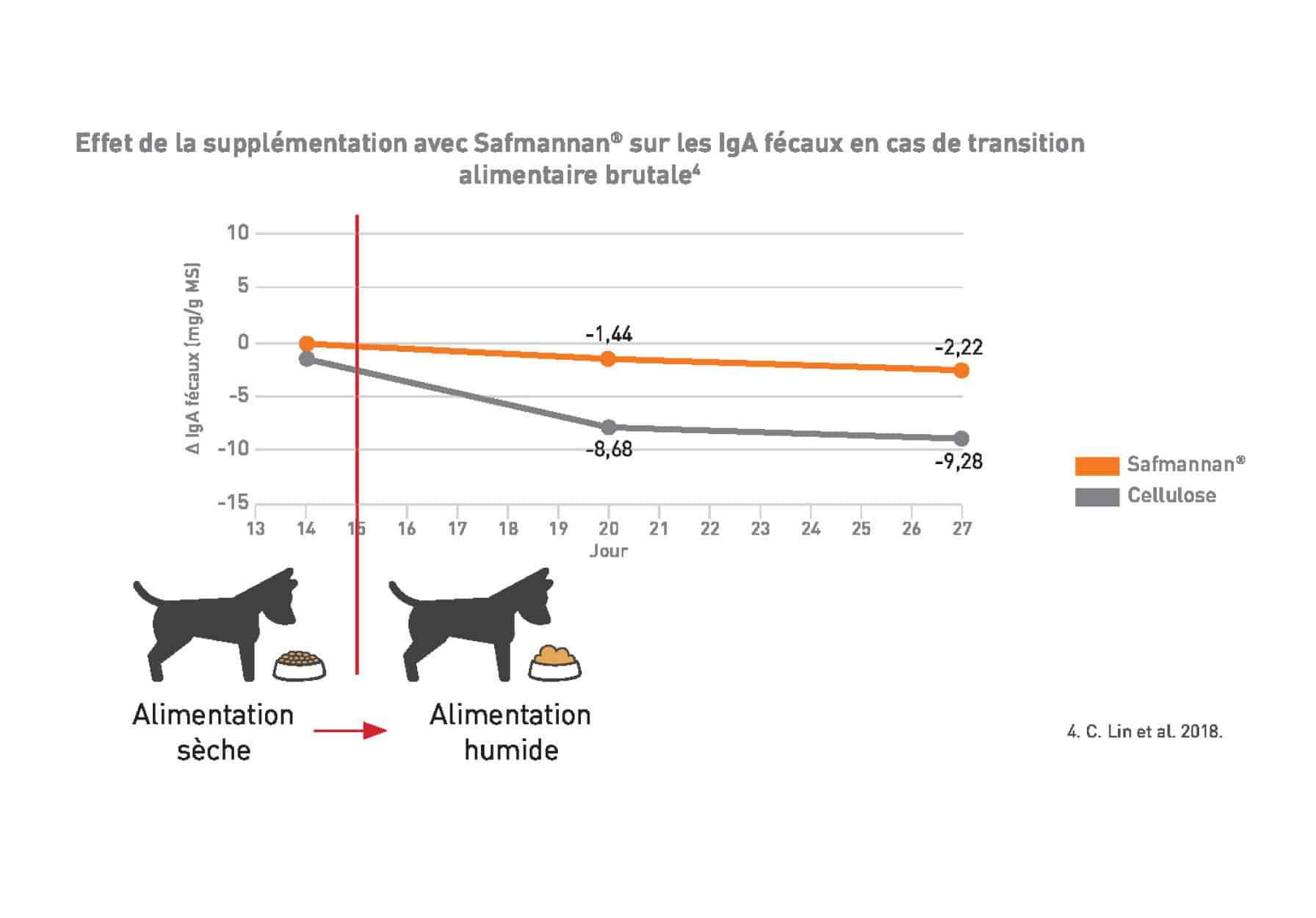 animaux domestiques