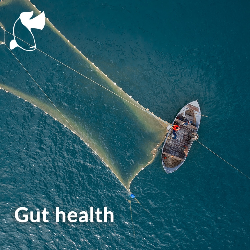 Aqua Gut health