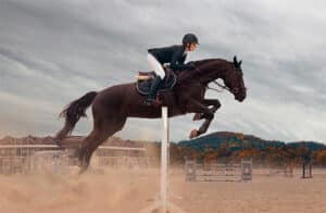 Sport horses: how the dual qualities of Selsaf® help maintain high levels of performance
